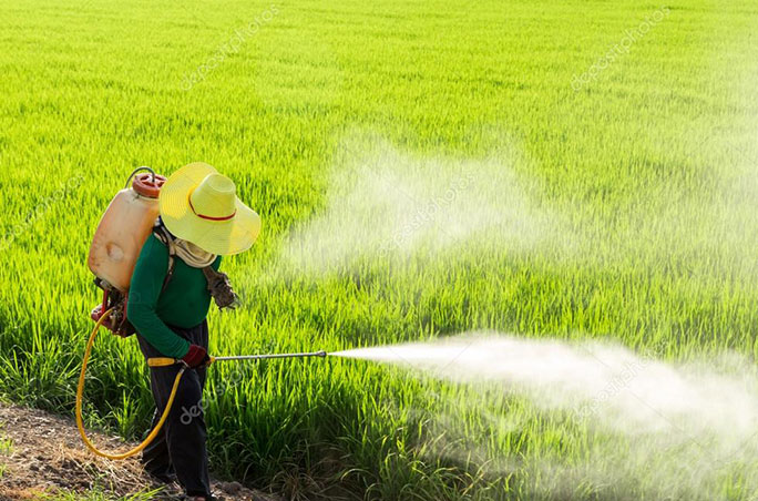 食品行业解决方案